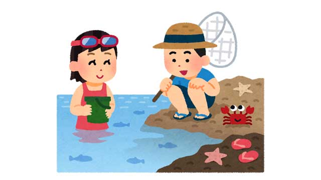 海で遊ぶ
