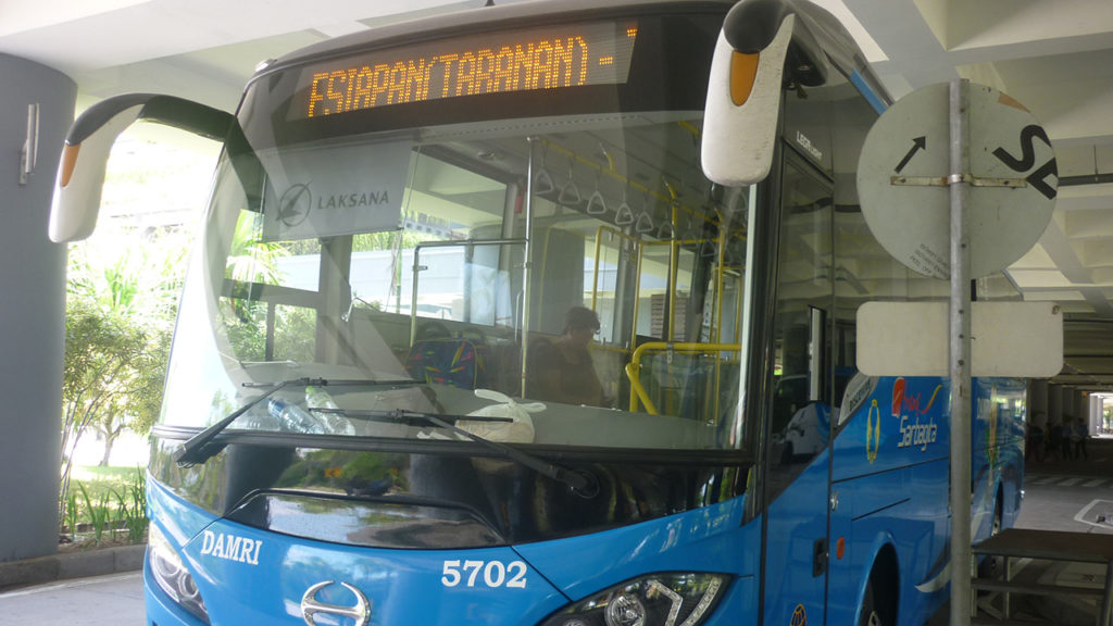 公共バス（トランスサルバギータ）