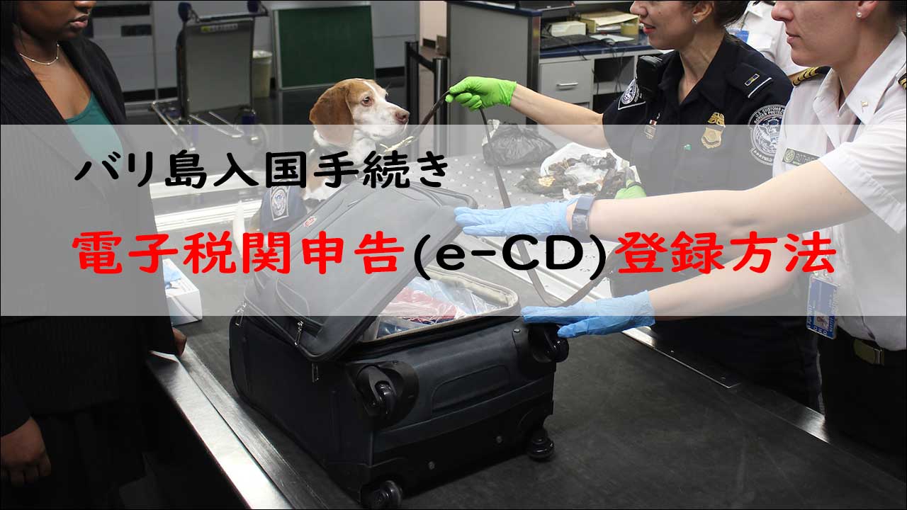 バリ島電子税関申告(e-CD)の申告方法【2025年最新版】